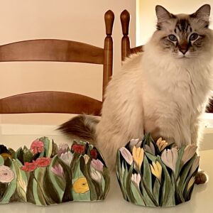 Holding Spring: Crocuses