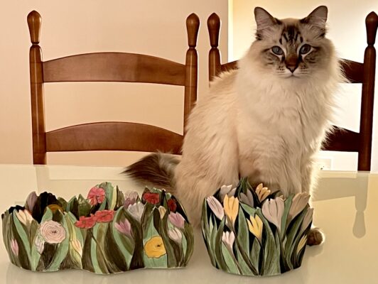 Holding Spring: Crocuses